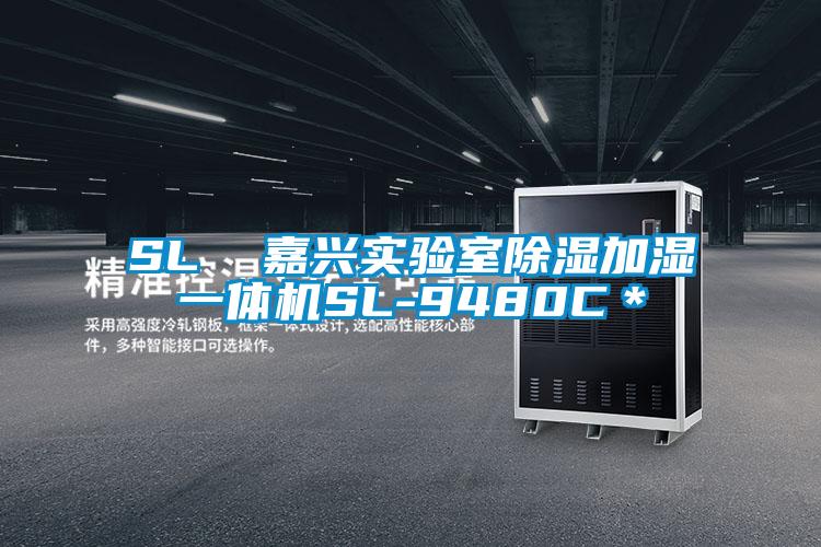 SL  嘉兴实验室除湿加湿一体机SL-9480C*