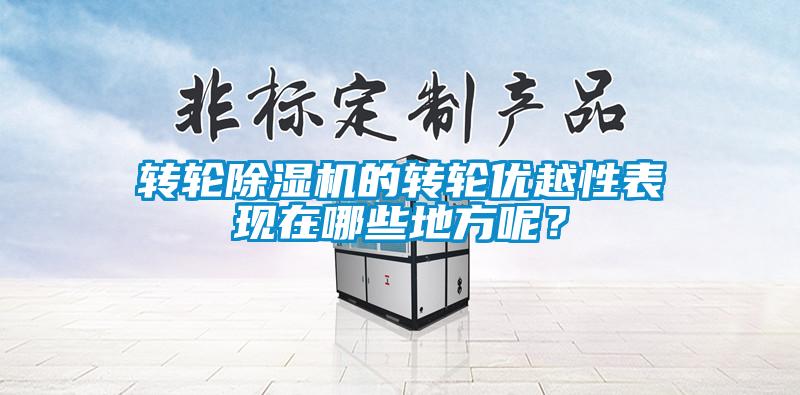 转轮除湿机的转轮优越性表现在哪些地方呢?