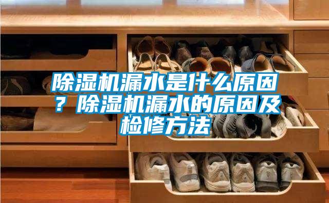 除湿机漏水是什么原因?除湿机漏水的原因及检修方法