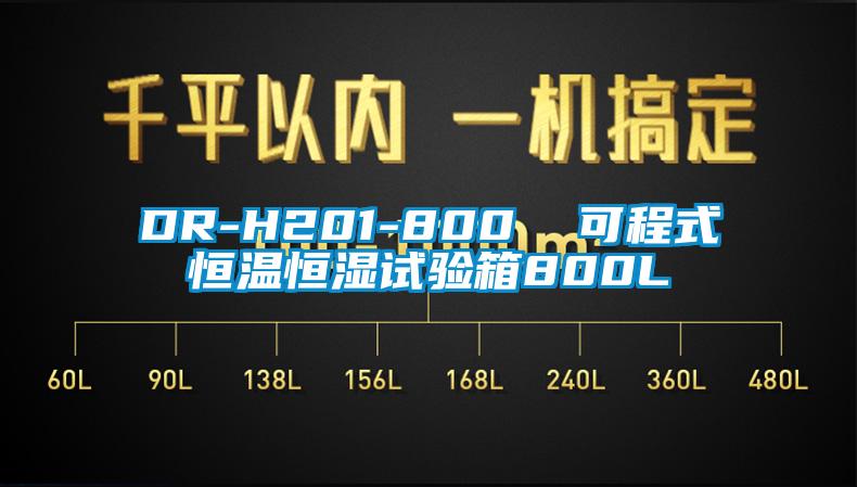 DR-H201-800  可程式恒温恒湿试验箱800L