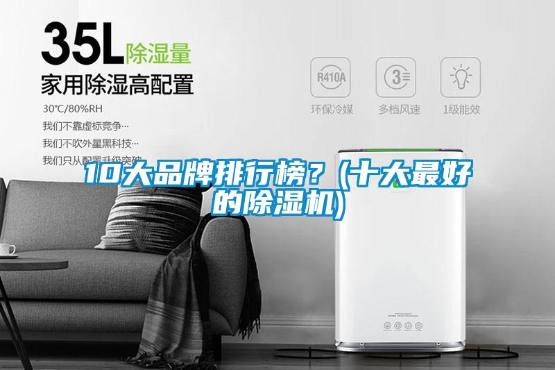 10大品牌排行榜?(十大最好的除湿机)