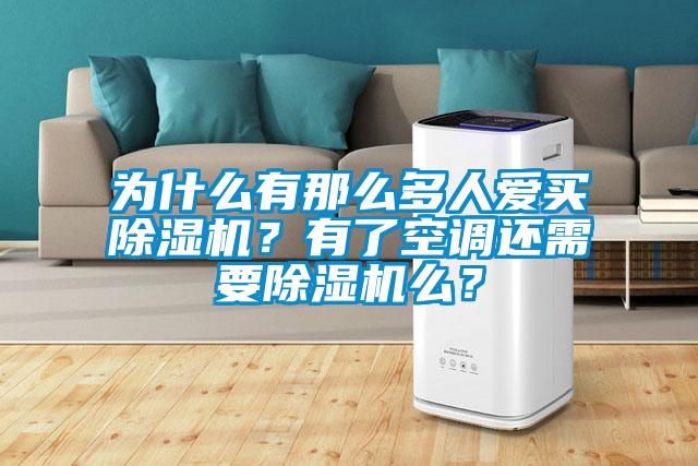 为什么有那么多人爱买除湿机?有了空调还需要除湿机么?