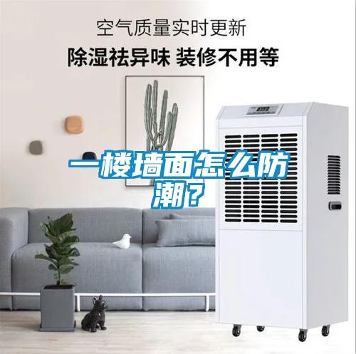一楼墙面怎么防潮?