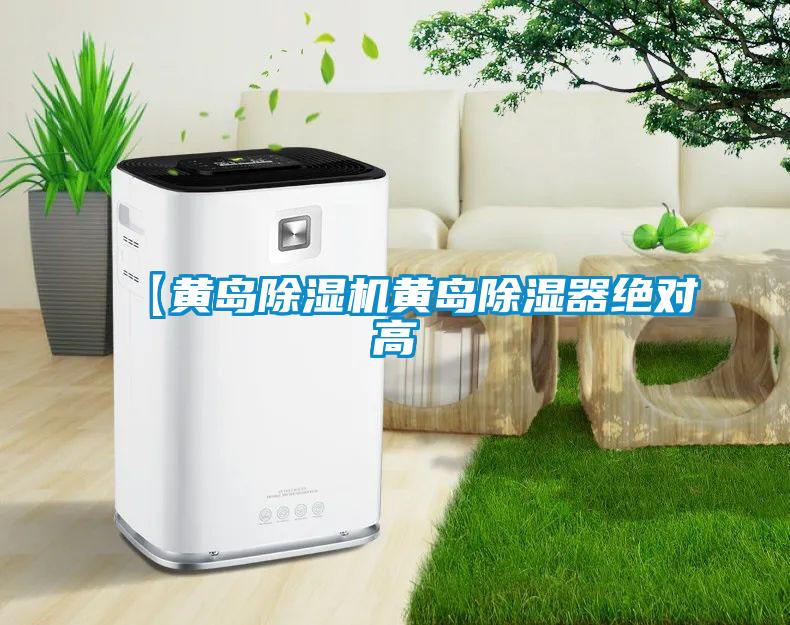 【黄岛除湿机黄岛除湿器绝对高
