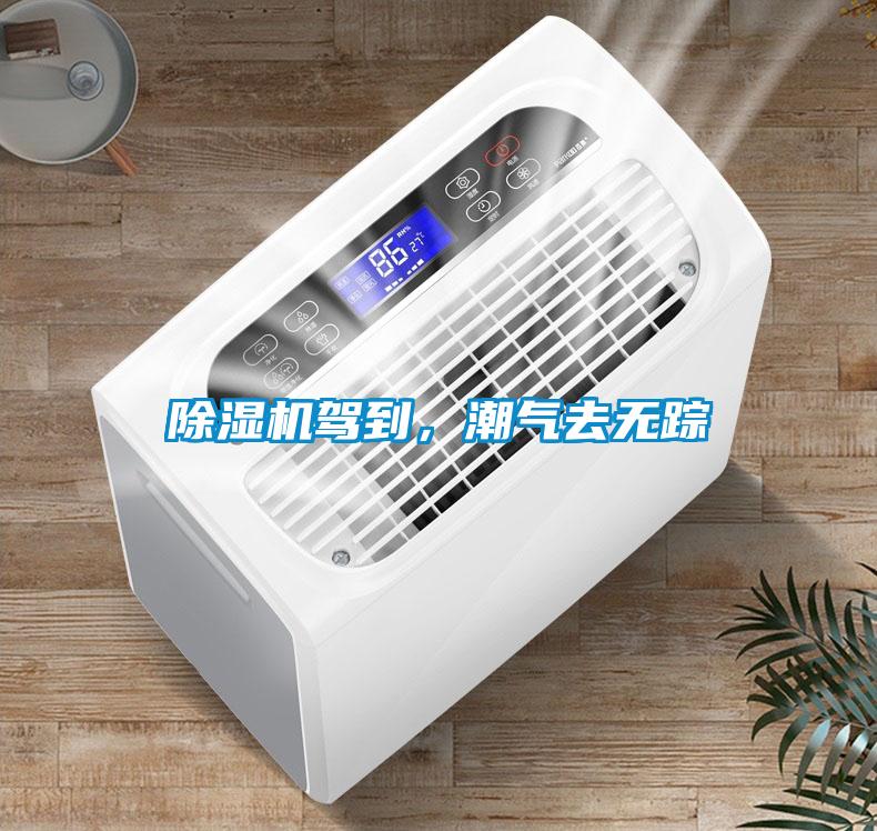 除湿机驾到,潮气去无踪