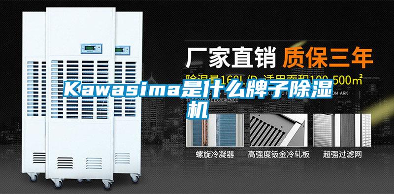 Kawasima是什么牌子除湿机