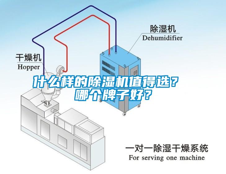 什么样的除湿机值得选? 哪个牌子好?