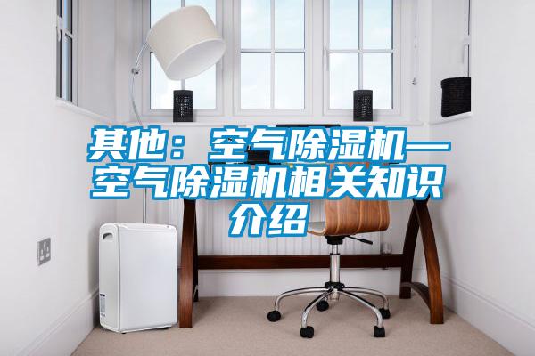 其他:空气除湿机—空气除湿机相关知识介绍