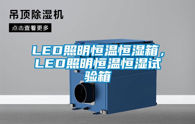 LED照明恒温恒湿箱,LED照明恒温恒湿试验箱