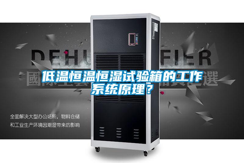 低温恒温恒湿试验箱的工作系统原理?