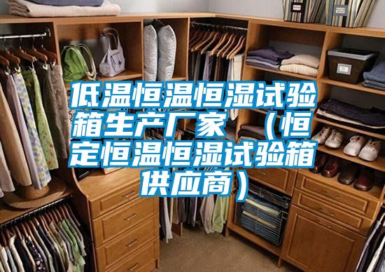 低温恒温恒湿试验箱生产厂家 (恒定恒温恒湿试验箱供应商)