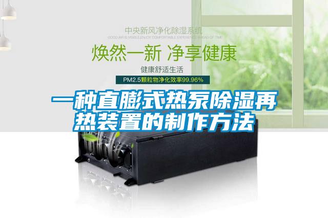 一种直膨式热泵除湿再热装置的制作方法