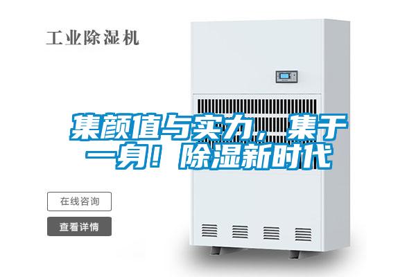 集颜值与实力,集于一身!除湿新时代
