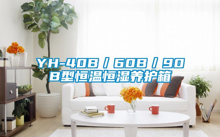 YH-40B/60B/90B型恒温恒湿养护箱