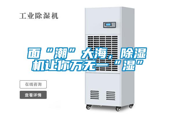 面“潮”大海,除湿机让你万无一“湿”