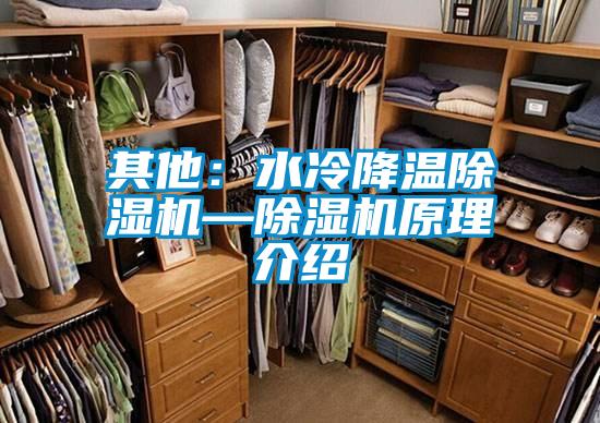 其他:水冷降温除湿机—除湿机原理介绍