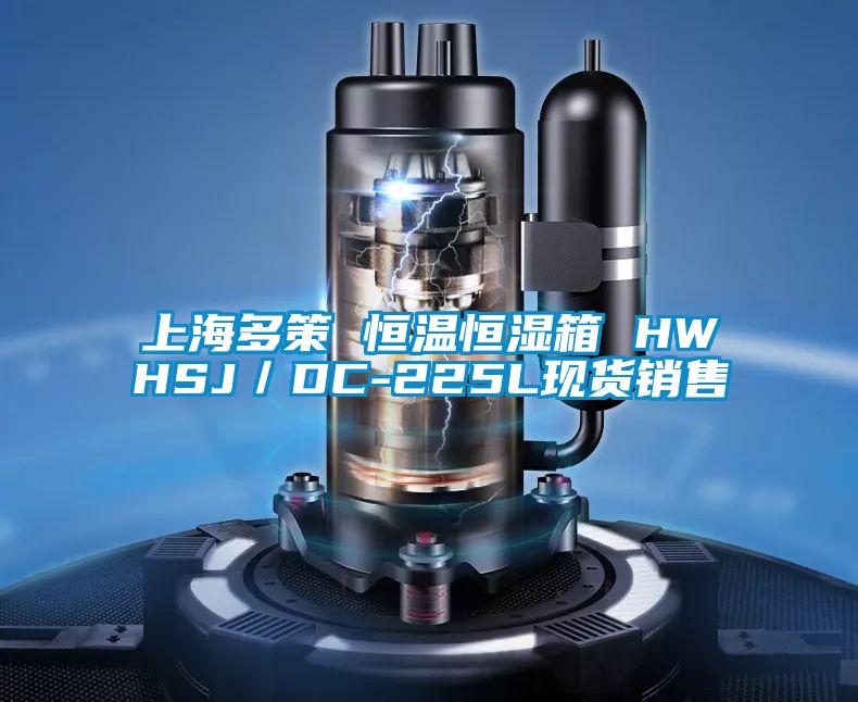 上海多策 恒温恒湿箱 HWHSJ/DC-225L现货销售
