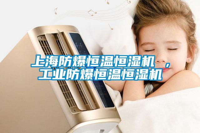 上海防爆恒温恒湿机 ,工业防爆恒温恒湿机