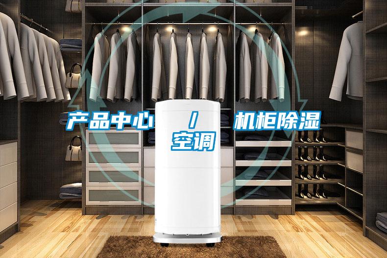 产品中心  /  机柜除湿空调