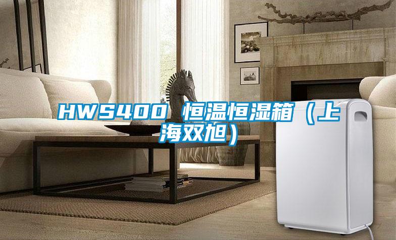 HWS400 恒温恒湿箱(上海双旭)