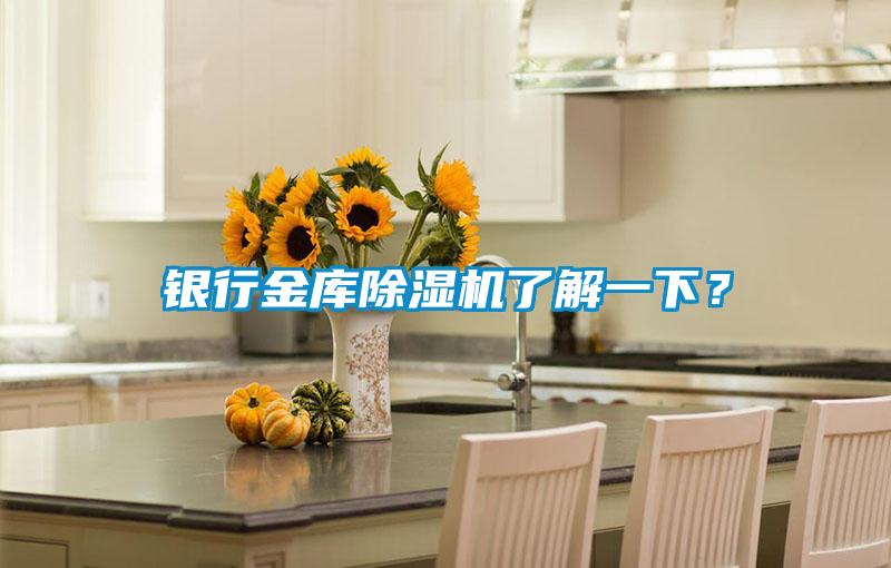 银行金库除湿机了解一下?