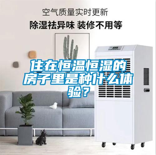 住在恒温恒湿的房子里是种什么体验?