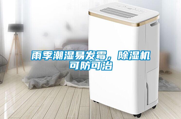 雨季潮湿易发霉,除湿机可防可治