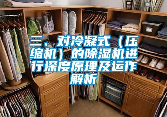 三、对冷凝式(压缩机)的除湿机进行深度原理及运作解析