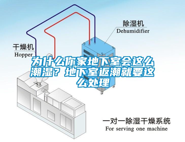 为什么你家地下室会这么潮湿?地下室返潮就要这么处理