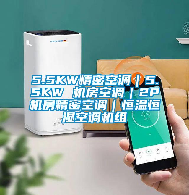 5.5KW精密空调|5.5KW 机房空调|2P机房精密空调|恒温恒湿空调机组
