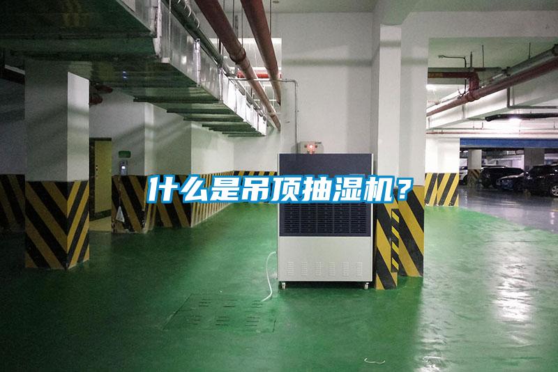 什么是吊顶抽湿机?