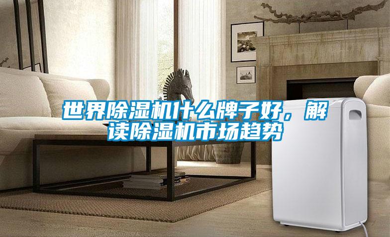 世界除湿机什么牌子好,解读除湿机市场趋势