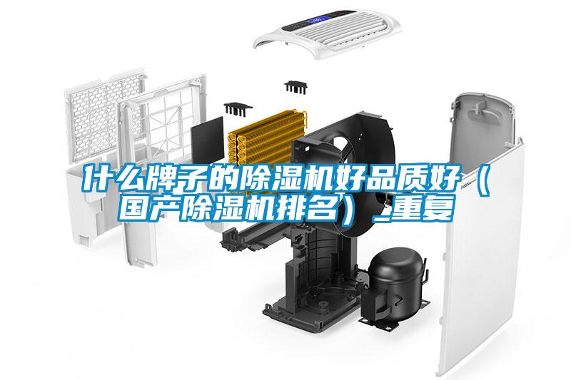 什么牌子的除湿机好品质好(国产除湿机排名)_重复