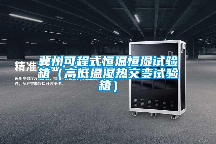 冀州可程式恒温恒湿试验箱(高低温湿热交变试验箱)