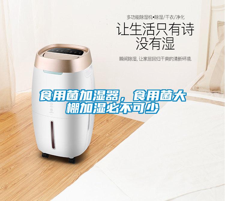 食用菌加湿器,食用菌大棚加湿必不可少