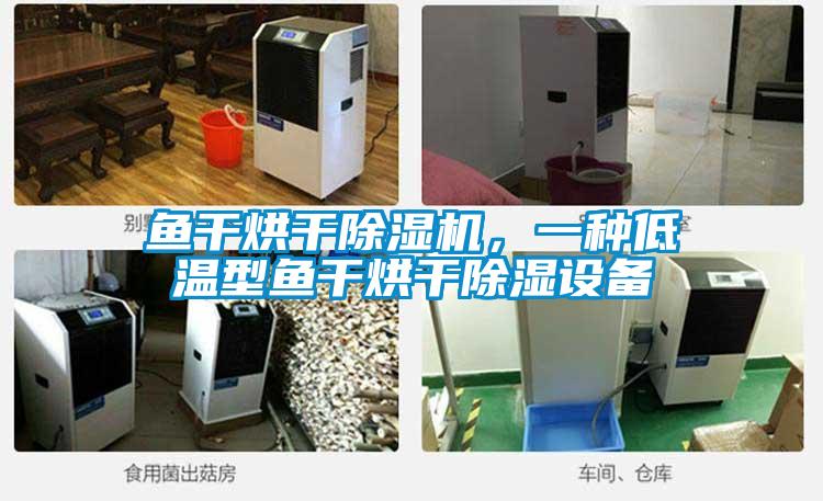 鱼干烘干除湿机,一种低温型鱼干烘干除湿设备