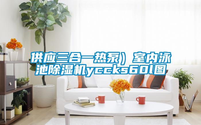 供应三合一热泵)室内泳池除湿机yccks60l图