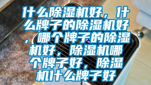 什么除湿机好,什么牌子的除湿机好,哪个牌子的除湿机好,除湿机哪个牌子好,除湿机什么牌子好