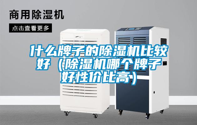 什么牌子的除湿机比较好(除湿机哪个牌子好性价比高)