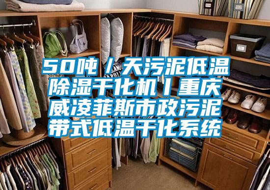50吨/天污泥低温除湿干化机丨重庆威凌菲斯市政污泥带式低温干化系统