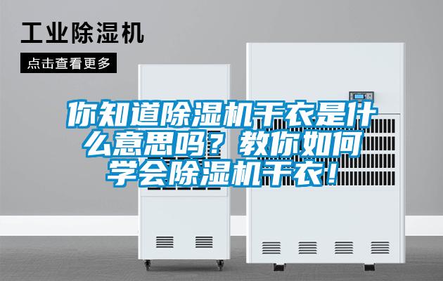 你知道除湿机干衣是什么意思吗?教你如何学会除湿机干衣!