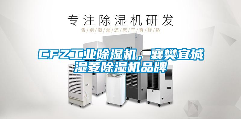 CFZ工业除湿机,襄樊宜城湿菱除湿机品牌
