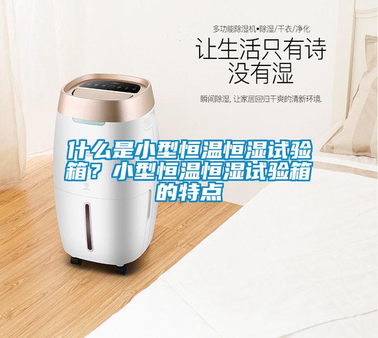 什么是小型恒温恒湿试验箱?小型恒温恒湿试验箱的特点