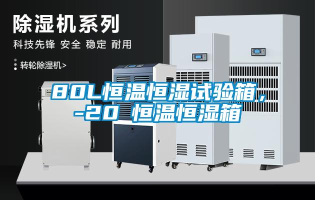 80L恒温恒湿试验箱,-20℃恒温恒湿箱