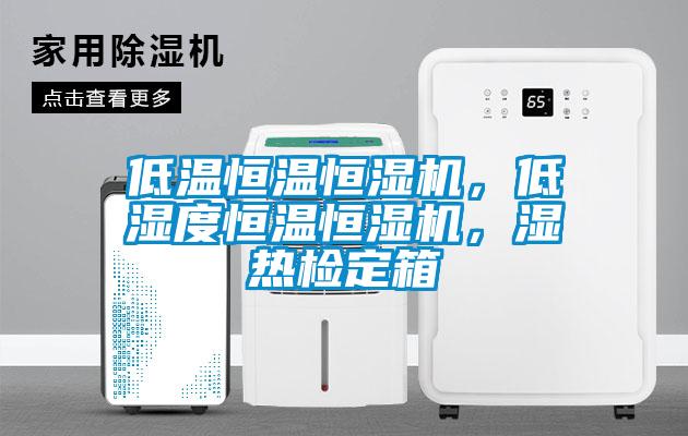 低温恒温恒湿机,低湿度恒温恒湿机,湿热检定箱