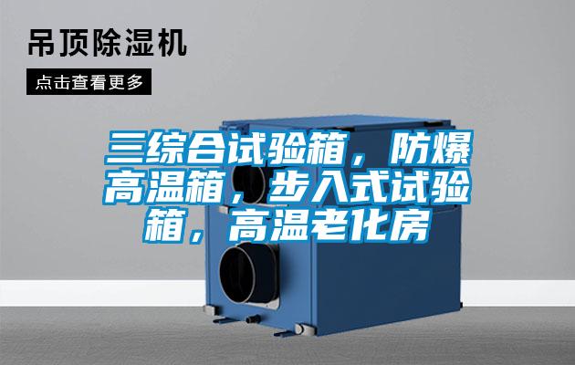三综合试验箱,防爆高温箱,步入式试验箱,高温老化房