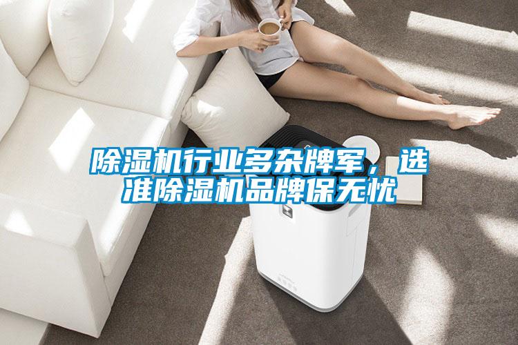 除湿机行业多杂牌军,选准除湿机品牌保无忧