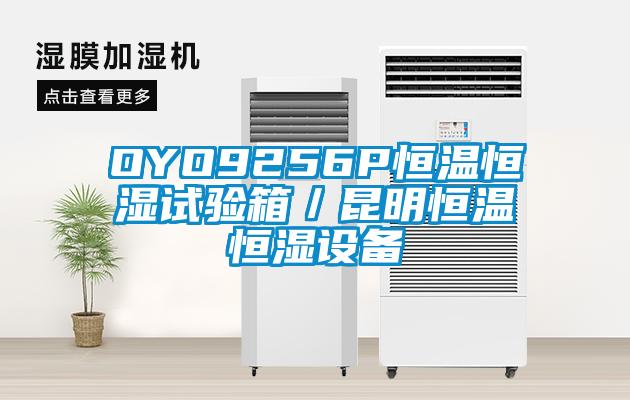 OYO9256P恒温恒湿试验箱/昆明恒温恒湿设备