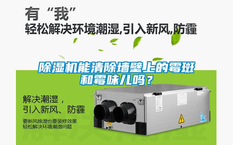 除湿机能清除墙壁上的霉斑和霉味儿吗?