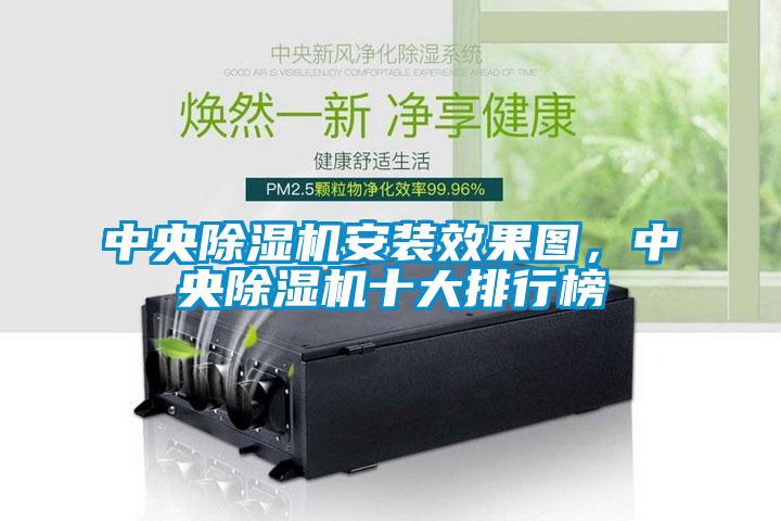 中央除湿机安装效果图,中央除湿机十大排行榜